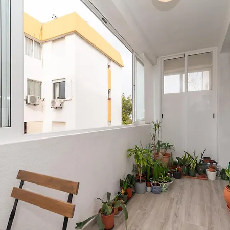 Camoes By Algartur *