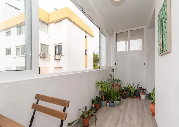 Camoes By Algartur *